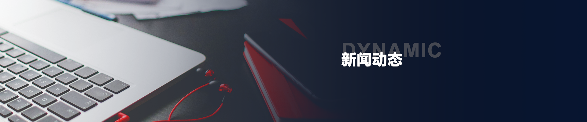 新闻动态